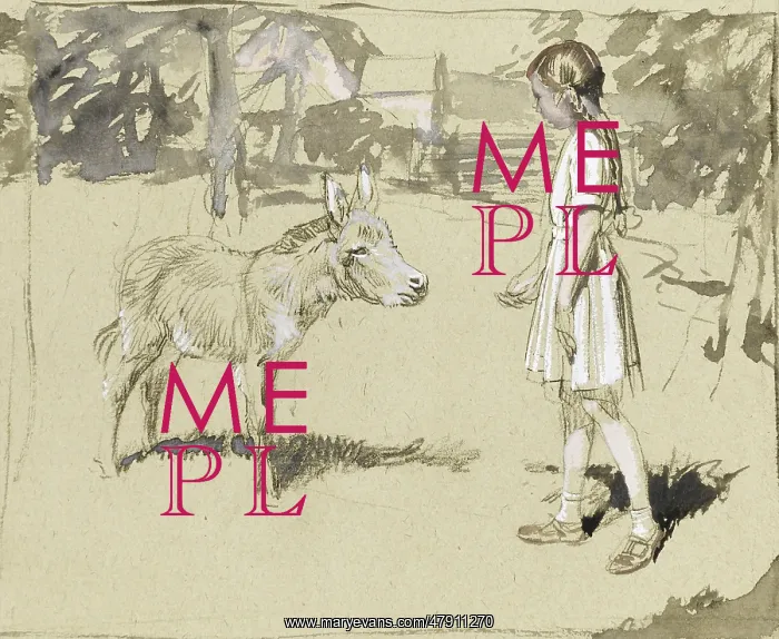 : Young girl feeds a Donkey : Young girl feeds a Donkey