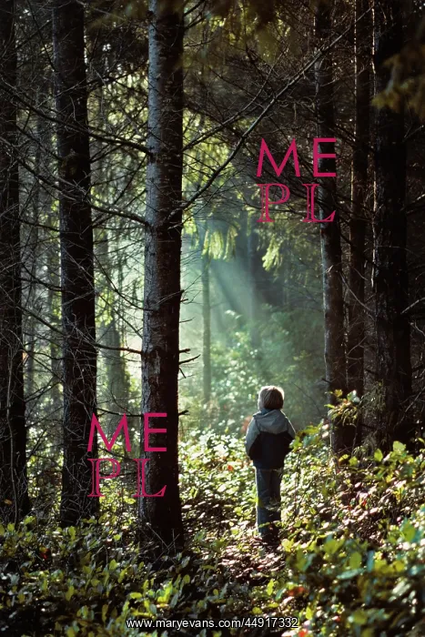 : Young Girl in Forest Looking at Sunlight Streaming Thro : Young Girl in Forest Looking at Sunlight Streaming Thro