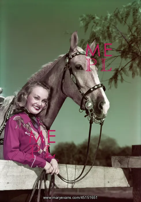 : Young Girl And Her Horse : Young Girl And Her Horse