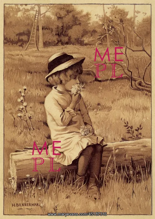 : Young girl with a posy : Young girl with a posy