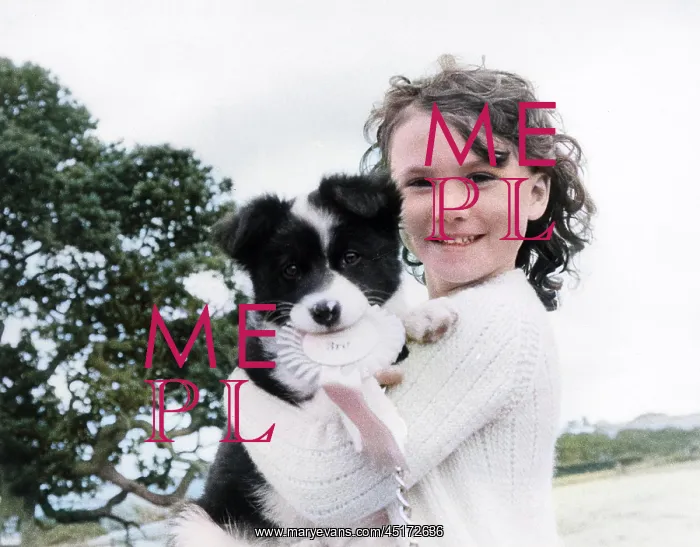 : Young girl with Puppy : Young girl with Puppy
