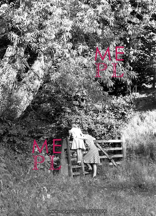 : Two young girls peering over the gate of a field : Two young girls peering over the gate of a field