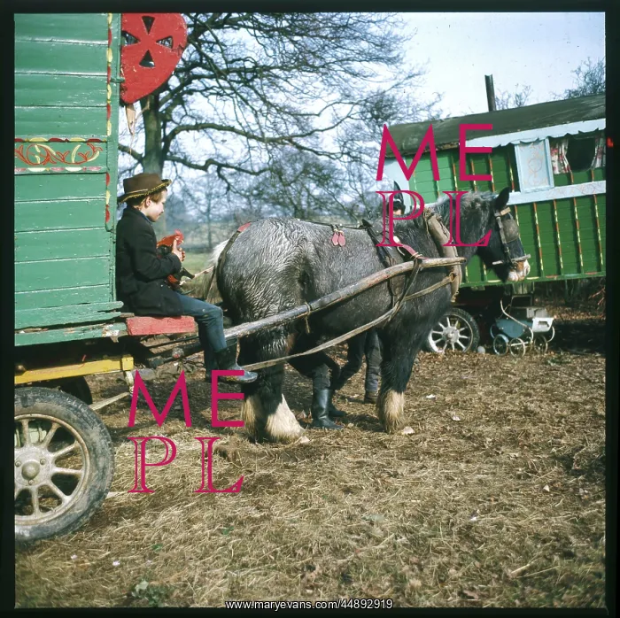 : YOUNG GYPSY BOY & PONY : YOUNG GYPSY BOY & PONY