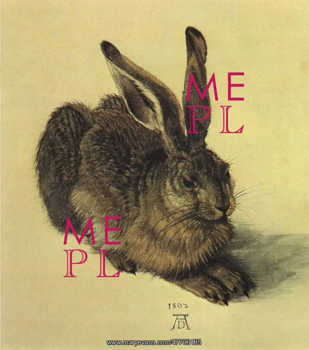  : Young Hare, by Durer