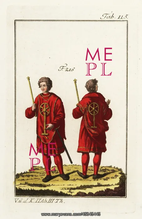 : Young herald in formal robes : Young herald in formal robes