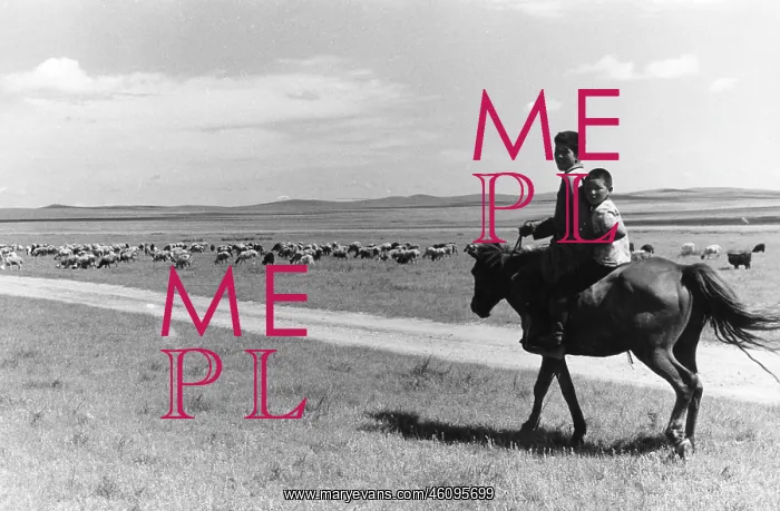  : Young herdsmen on the Mongol steppe, Mongolia