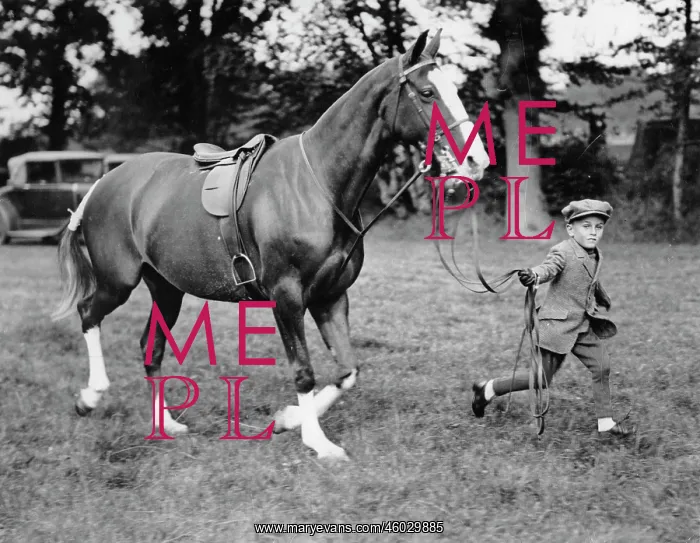 : Young horseman and his pony : Young horseman and his pony
