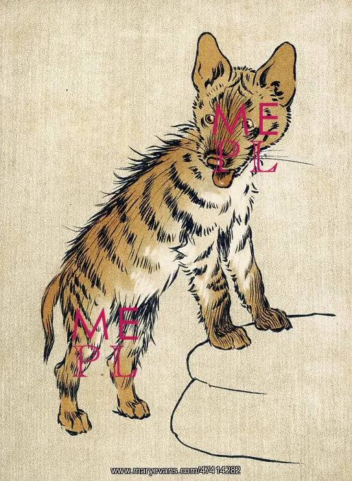  : YOUNG HYENA ALDIN