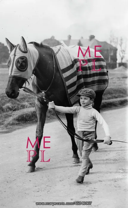 : Young jockey : Young jockey