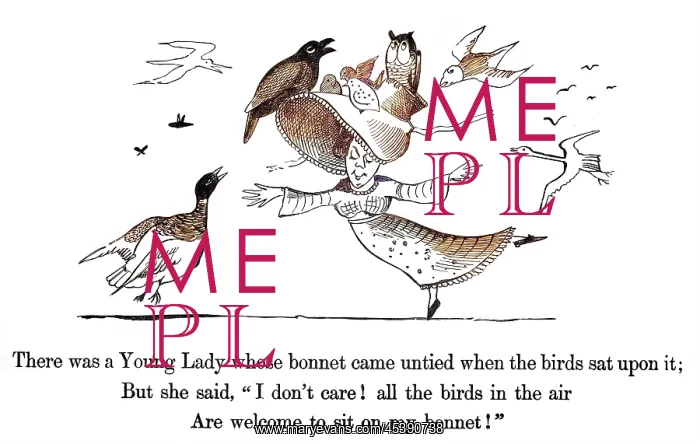 : Young Lady Whose Bonnet, Edward Lear : Young Lady Whose Bonnet, Edward Lear
