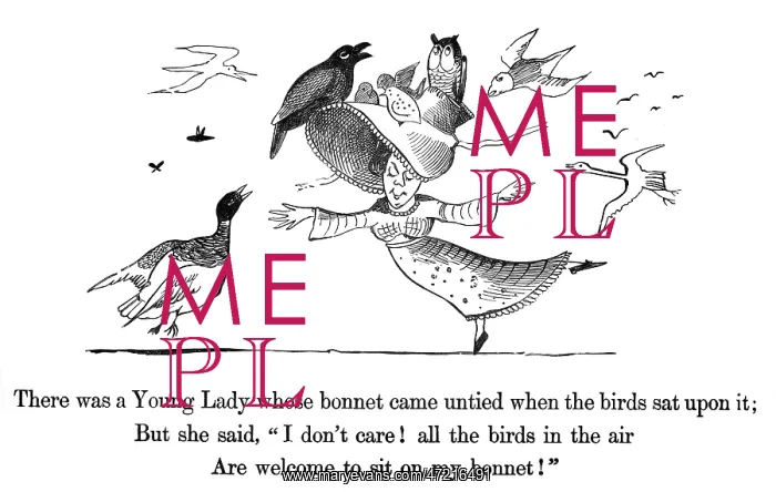 : Young Lady Whose Bonnet, Edward Lear : Young Lady Whose Bonnet, Edward Lear