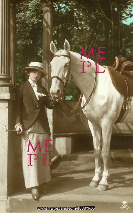 : A young lady with her fine grey horse : A young lady with her fine grey horse