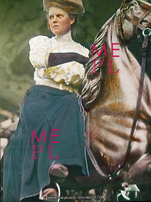 : Young lady on horseback : Young lady on horseback