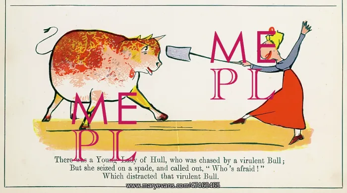 : Young Lady of Hull, Edward Lear : Young Lady of Hull, Edward Lear