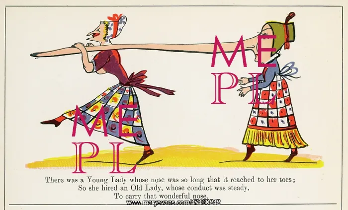 : Young Lady Whose Nose, Edward Lear : Young Lady Whose Nose, Edward Lear