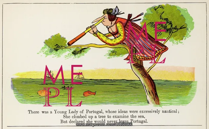 : Young Lady of Portugal, Edward Lear : Young Lady of Portugal, Edward Lear