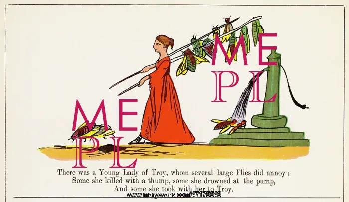 : Young Lady of Troy, Edward Lear : Young Lady of Troy, Edward Lear