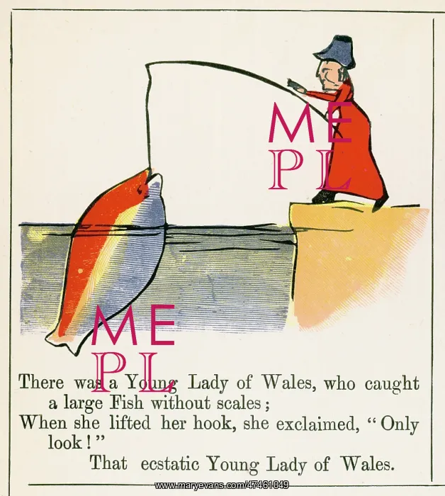 : Young Lady of Wales, Edward Lear : Young Lady of Wales, Edward Lear