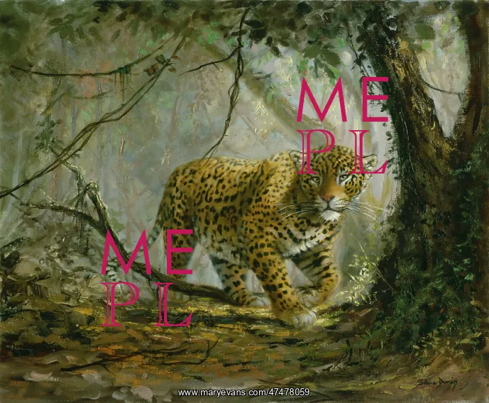 : Young Leopard in a Glade : Young Leopard in a Glade