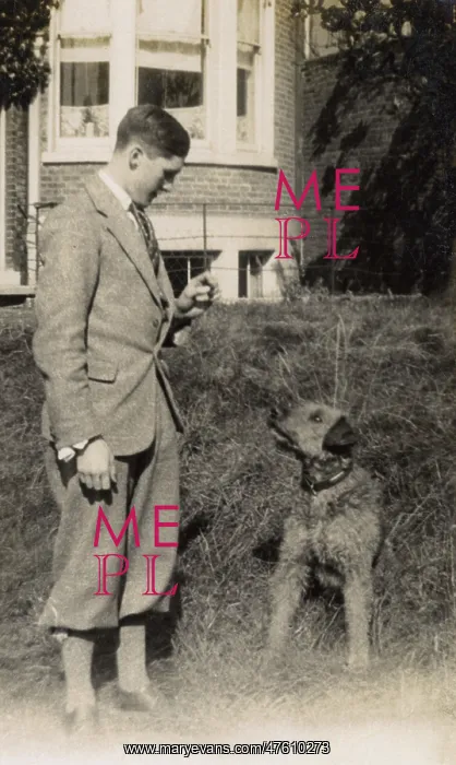 : Young man with a dog in a garden : Young man with a dog in a garden