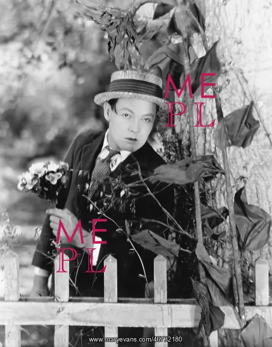 : Young man hiding behind a tree with a bouquet of : Young man hiding behind a tree with a bouquet of