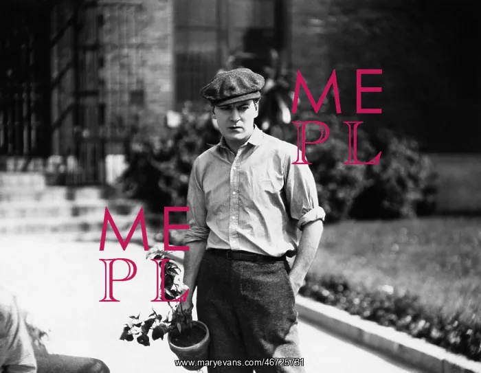 : Young man holding a potted plant : Young man holding a potted plant