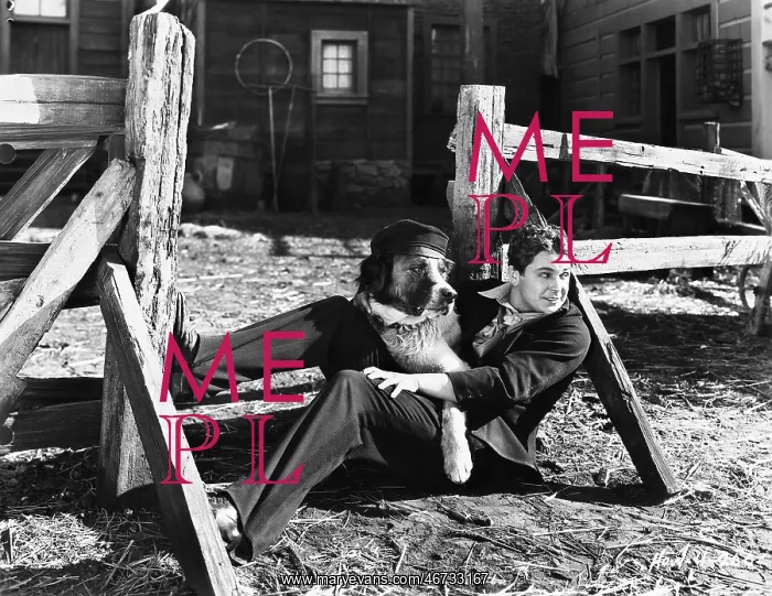 : Young man sitting next to a fence with his dog : Young man sitting next to a fence with his dog
