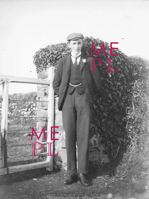 : Young man standing by a gate : Young man standing by a gate