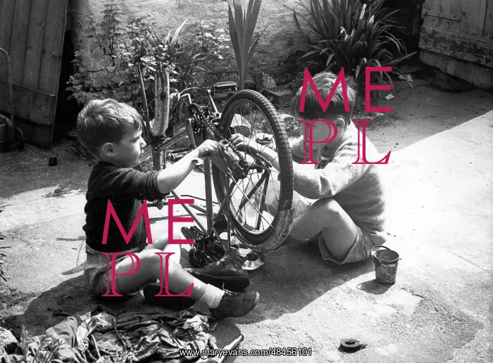  : YOUNG MECHANICS