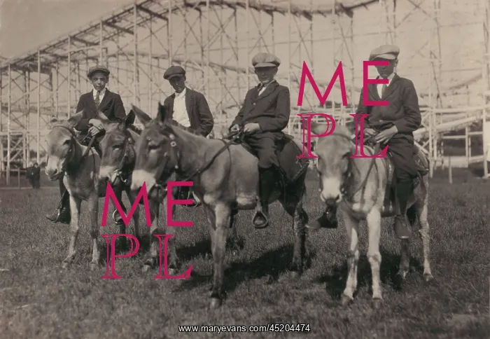 : Young men on donkeys, original caption: ? : Young men on donkeys, original caption: ?