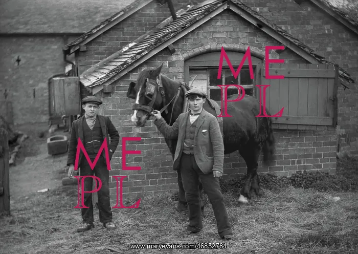 : Two young men with horse on a farm : Two young men with horse on a farm