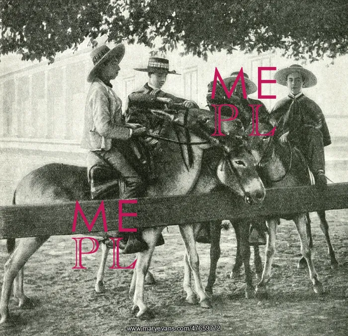 : Four young men on mules, Chile, South America : Four young men on mules, Chile, South America