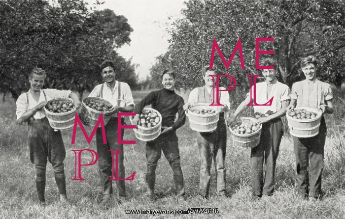 : Young men at Salvation Army Training Centre : Young men at Salvation Army Training Centre