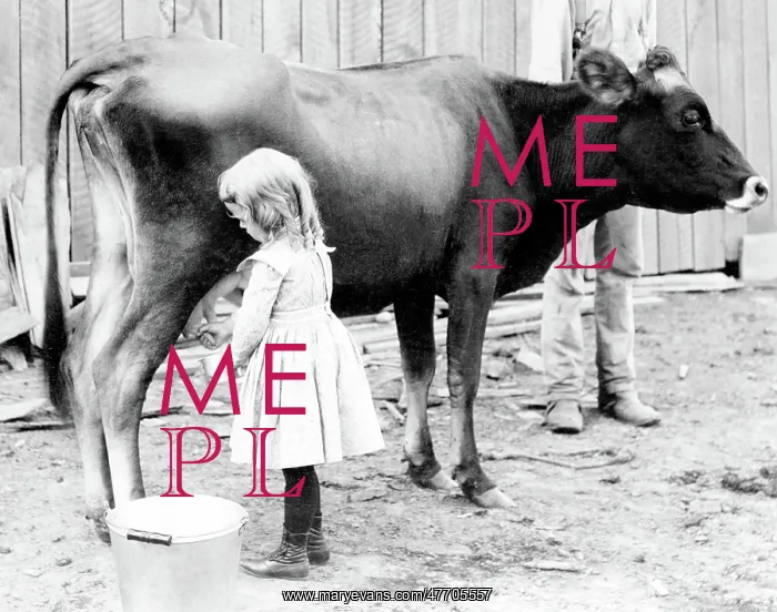 : Young Milkmaid, 1902 : Young Milkmaid, 1902