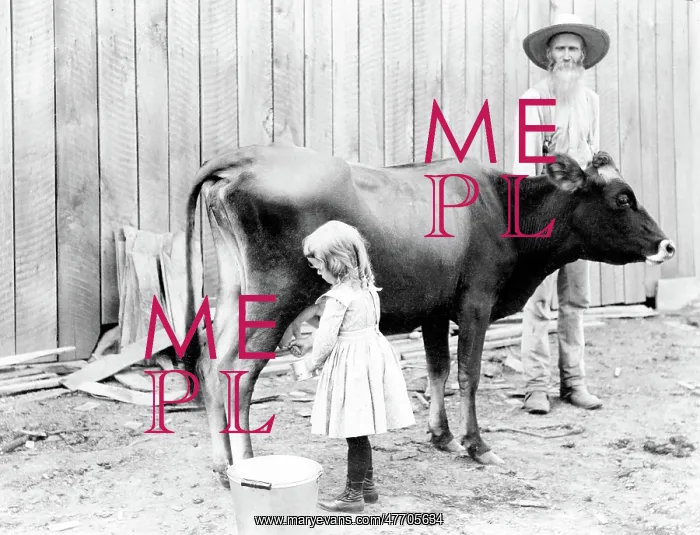 : Young Milkmaid, 1902 : Young Milkmaid, 1902