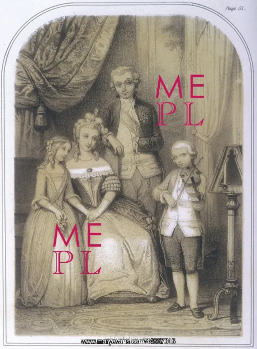 : THE YOUNG MOZART : THE YOUNG MOZART