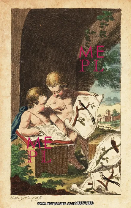 : Two young ornithologists studying bird prints, 18th century : Two young ornithologists studying bird prints, 18th century