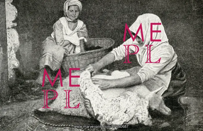 : Young peasant woman shearing a sheep, Republic of Estonia : Young peasant woman shearing a sheep, Republic of Estonia
