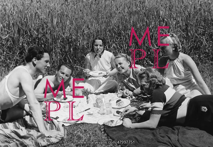  : Young people at a picnic