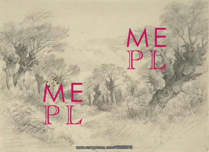 : Young Pollards, drawing by John Constable : Young Pollards, drawing by John Constable