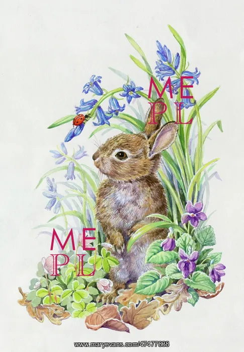 : Young rabbit with ladybird, bluebells, violets etc : Young rabbit with ladybird, bluebells, violets etc