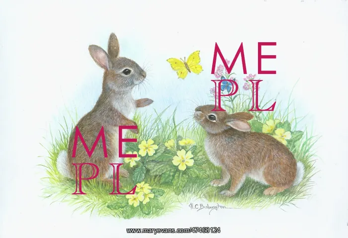  : Two young rabbits with butterflies and primroses