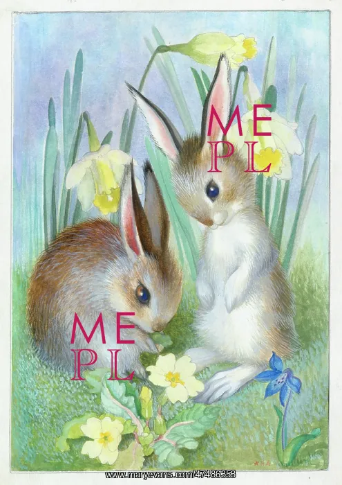  : Two young rabbits with daffodils, primroses and scilla