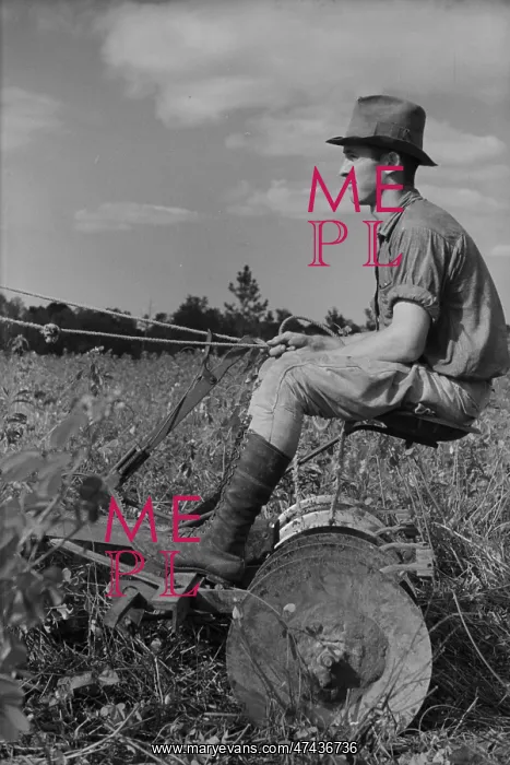  : Young resettlement farmer with harrow, Grady County, Georgia
