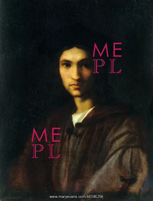 : Young self-portrait of Andrea del : Young self-portrait of Andrea del