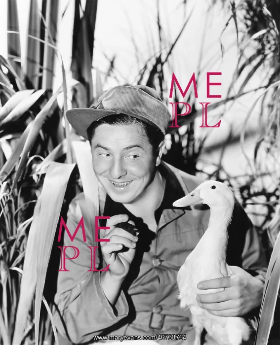 : Young smiling man holding a duck : Young smiling man holding a duck