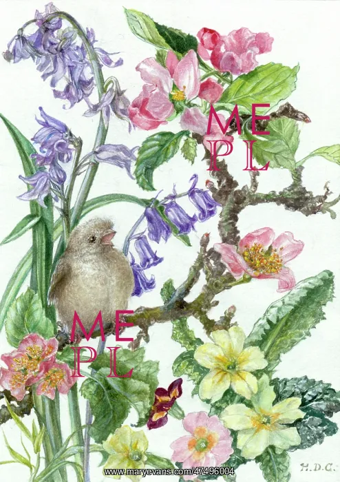 : Young sparrow with spring flowers : Young sparrow with spring flowers
