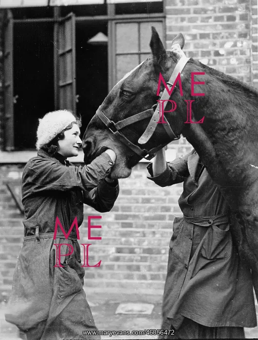 : Young student of the veterinary medicine : Young student of the veterinary medicine