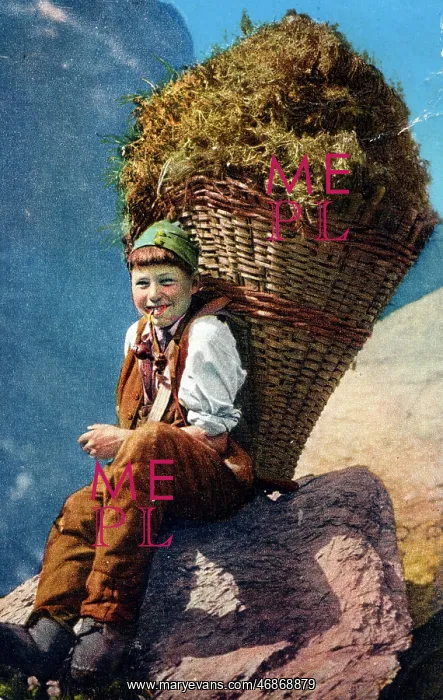 : Young Swiss boy - backpack filled with hay : Young Swiss boy - backpack filled with hay