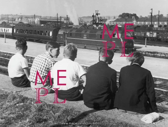 : YOUNG TRAINSPOTTERS : YOUNG TRAINSPOTTERS